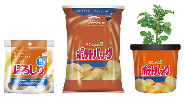 Les dernières nouveautés snack japonais Edition 2020